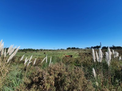 Venta de Campo en Montevideo Zona Rural