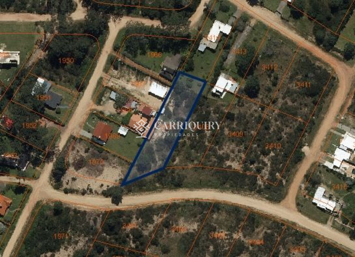 Tio Tom - GoPunta - Portal Inmobiliario de Punta del Este - Maldonado