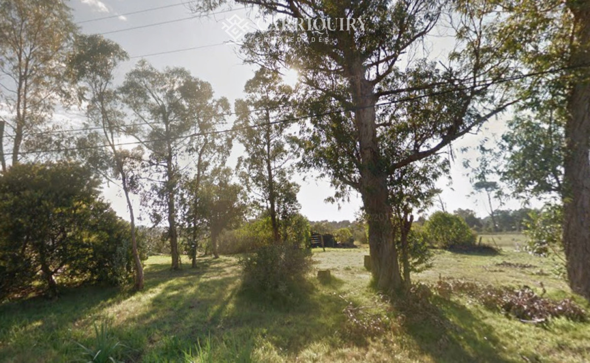 Terreno ID.10043/Terreno-en-venta-Tio-Tom- - OPORTUNIDAD LOTE DE 1000 M2 EN VENTA EN PINARES ZONA MUY TRANQUILA DE BUENAS PROPIEDADES IDEAL PARA HACER 2 CASA