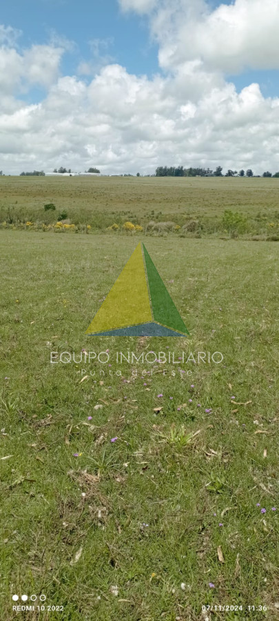 Q2FtcG8gZW4gTWFsZG9uYWRvIC0gU2FuIENhcmxvcyAtIFJlZiA6IEVRUDcxMzU=