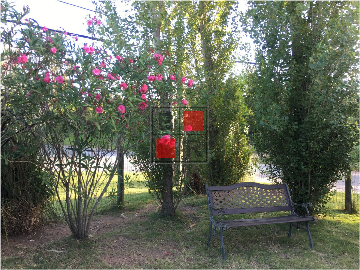 Casa ID.382 - VENTA CASA, 3 dormitorios, Lausana