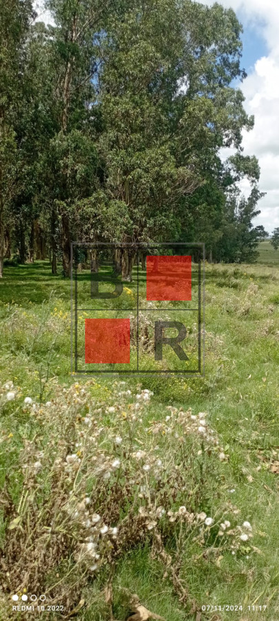 Campo Ref.1147 - Chacra en venta, excelente oportunidad