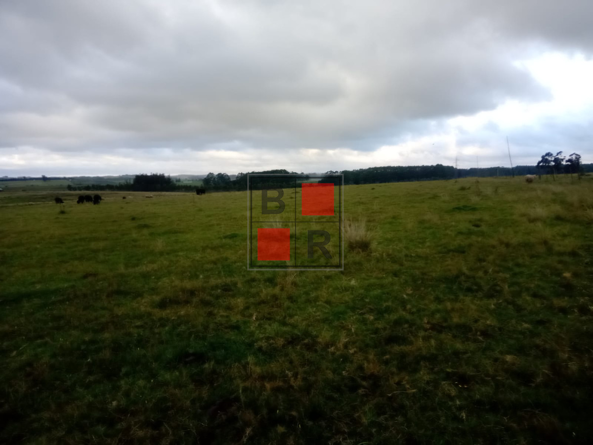 Campo Ref.1109 - OPORTUNIDAD DE VENTA 