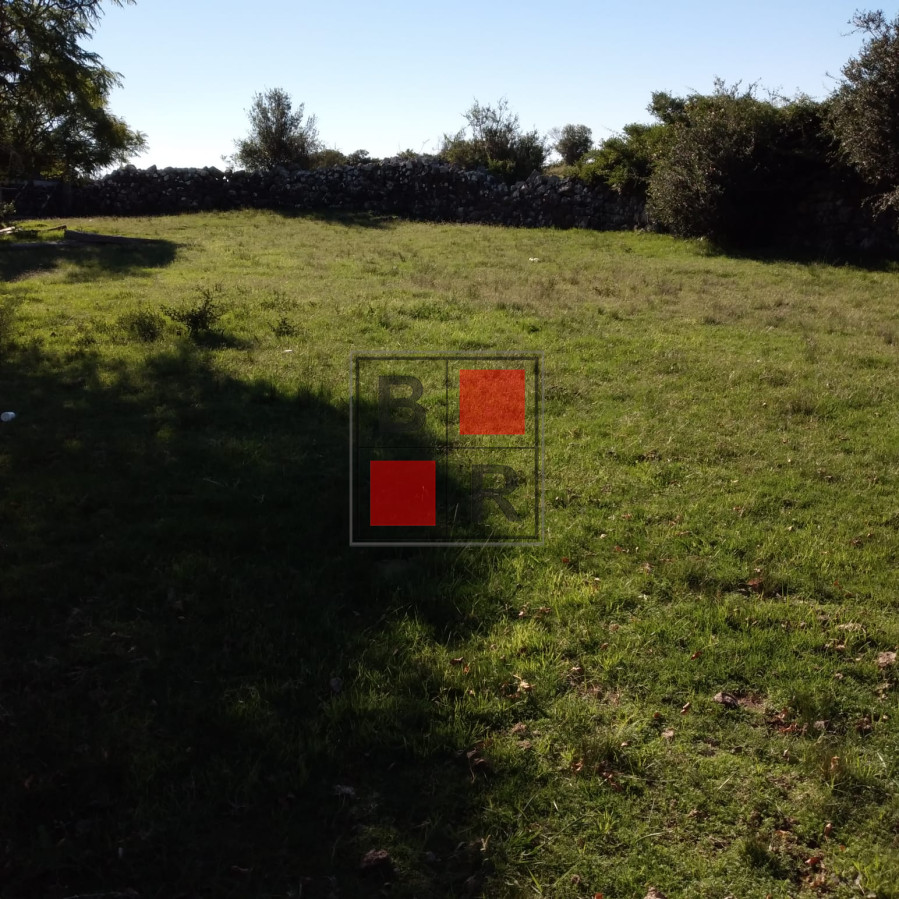 Campo Ref.1104 - Ideal oportunidad para forestación 
