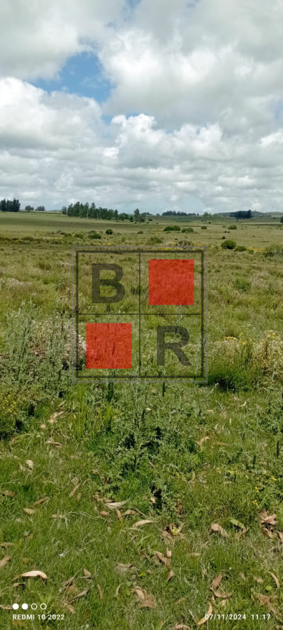 Campo Ref.1147 - Chacra en venta, excelente oportunidad