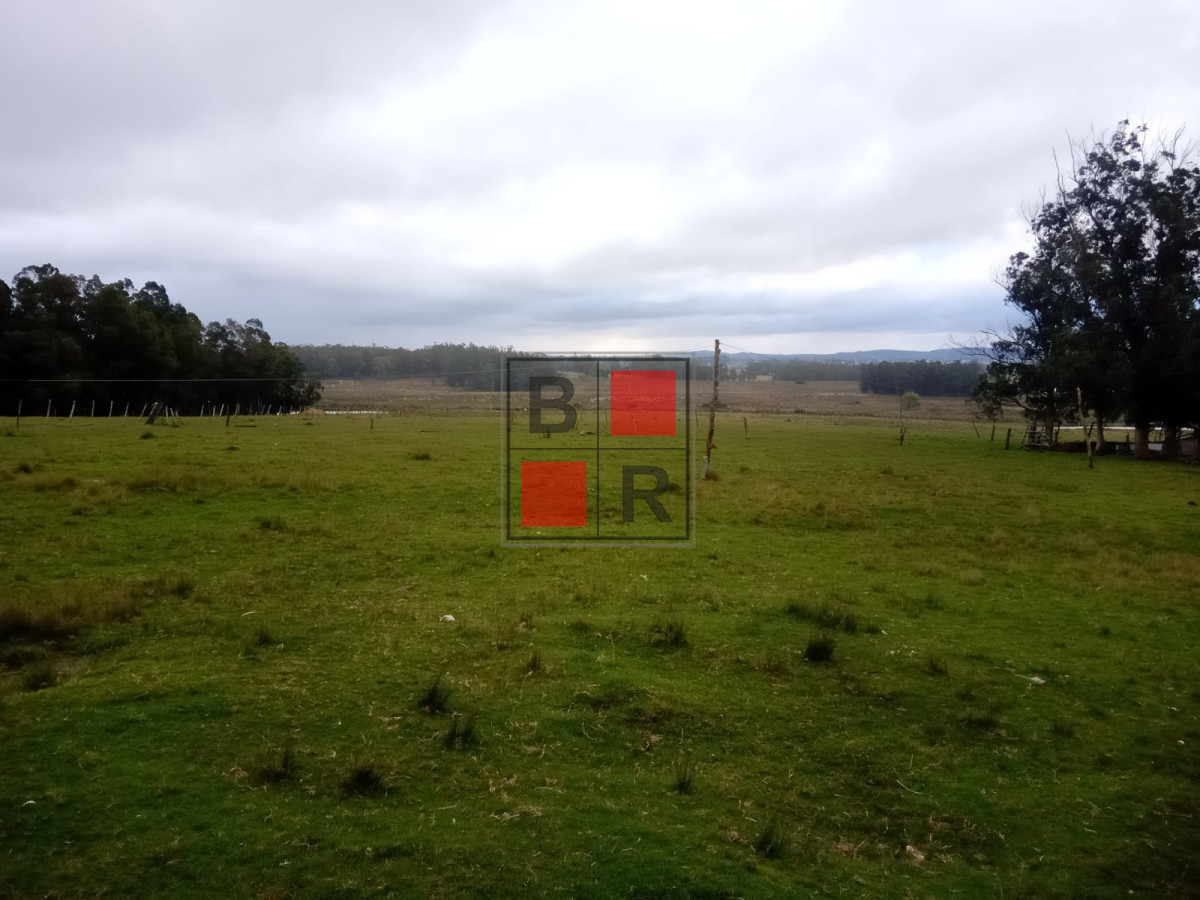 Campo Ref.1109 - OPORTUNIDAD DE VENTA 