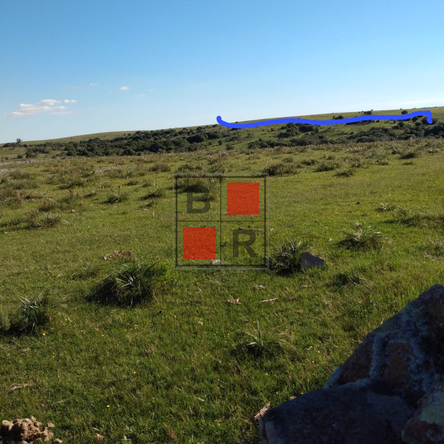 Campo Ref.1104 - Ideal oportunidad para forestación 