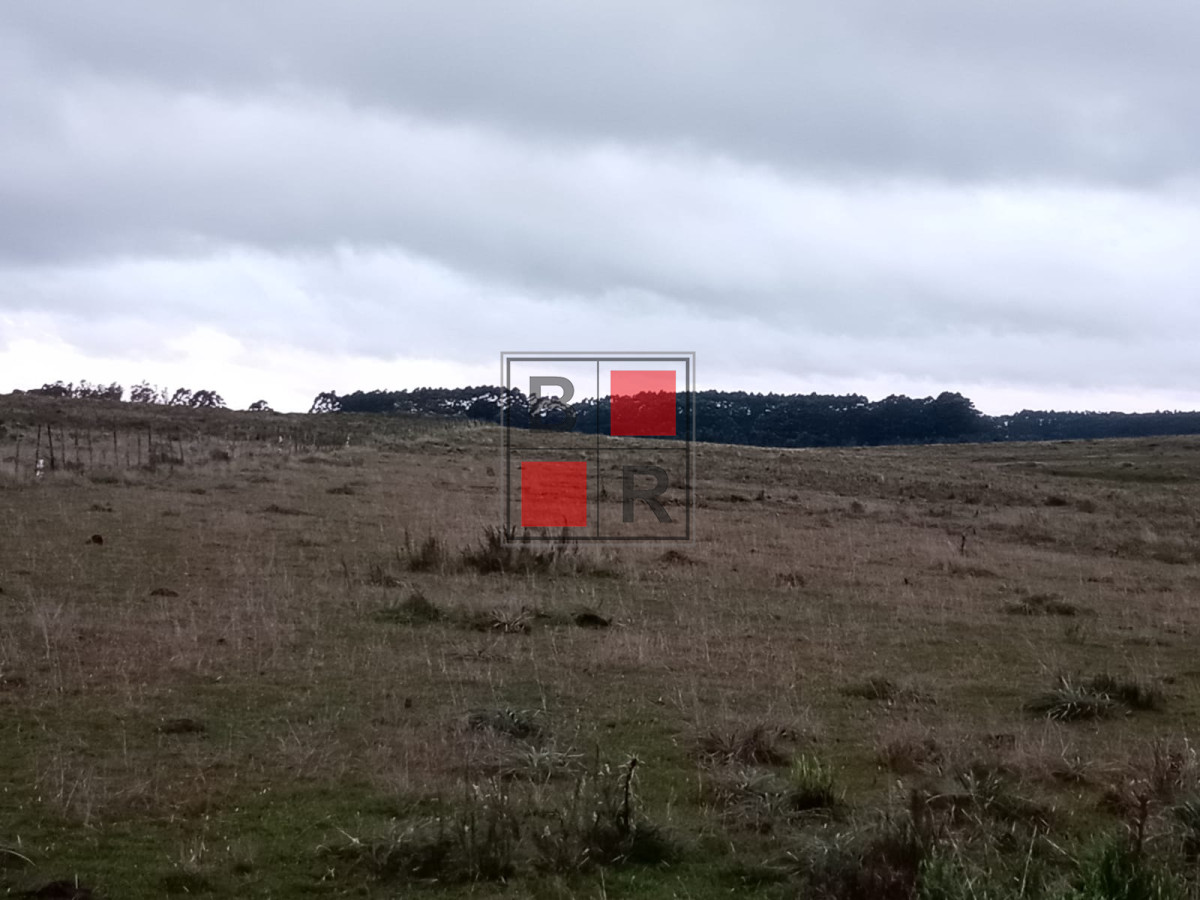 Campo Ref.1109 - OPORTUNIDAD DE VENTA 