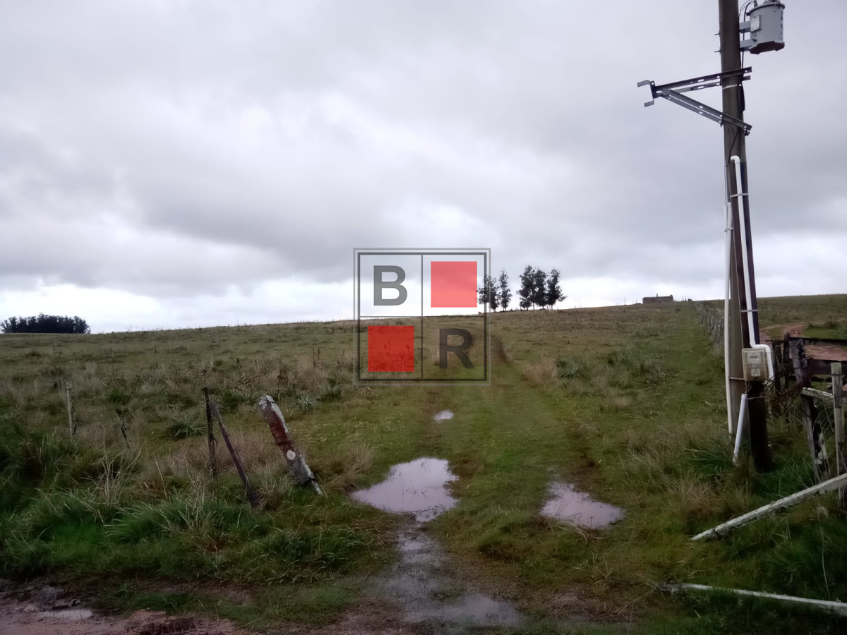 Campo Ref.1109 - OPORTUNIDAD DE VENTA 