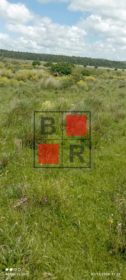 Campo Ref.1147 - Chacra en venta, excelente oportunidad