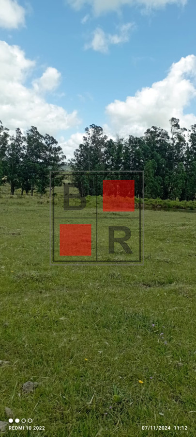 Campo Ref.1147 - Chacra en venta, excelente oportunidad