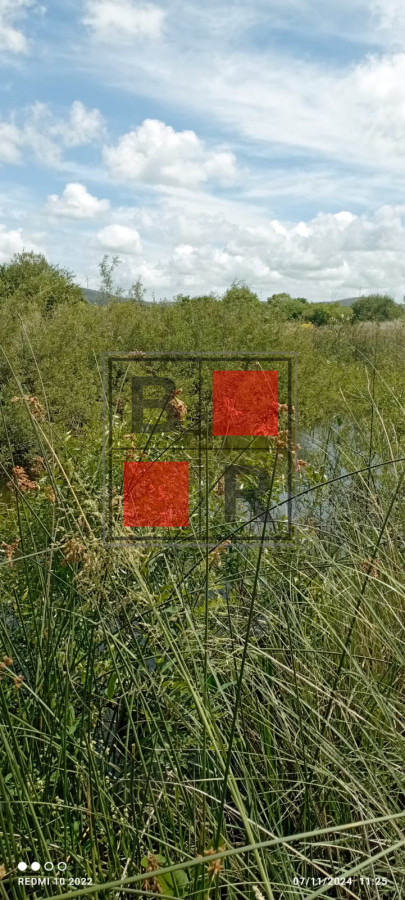 Campo Ref.1147 - Chacra en venta, excelente oportunidad