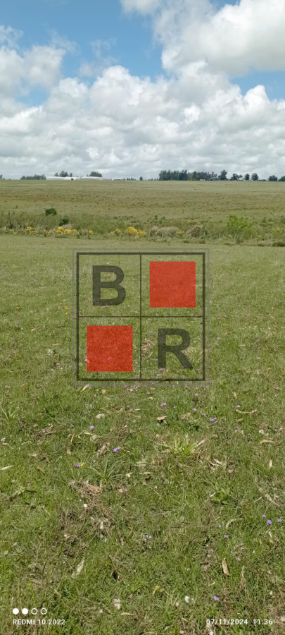 Campo Ref.1147 - Chacra en venta, excelente oportunidad