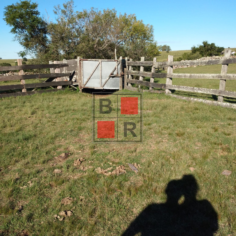 Campo Ref.1104 - Ideal oportunidad para forestación 