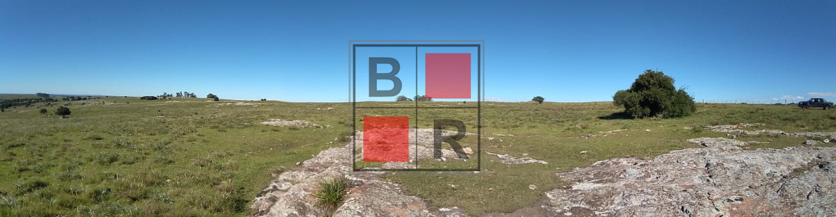 Campo Ref.1104 - Ideal oportunidad para forestación 