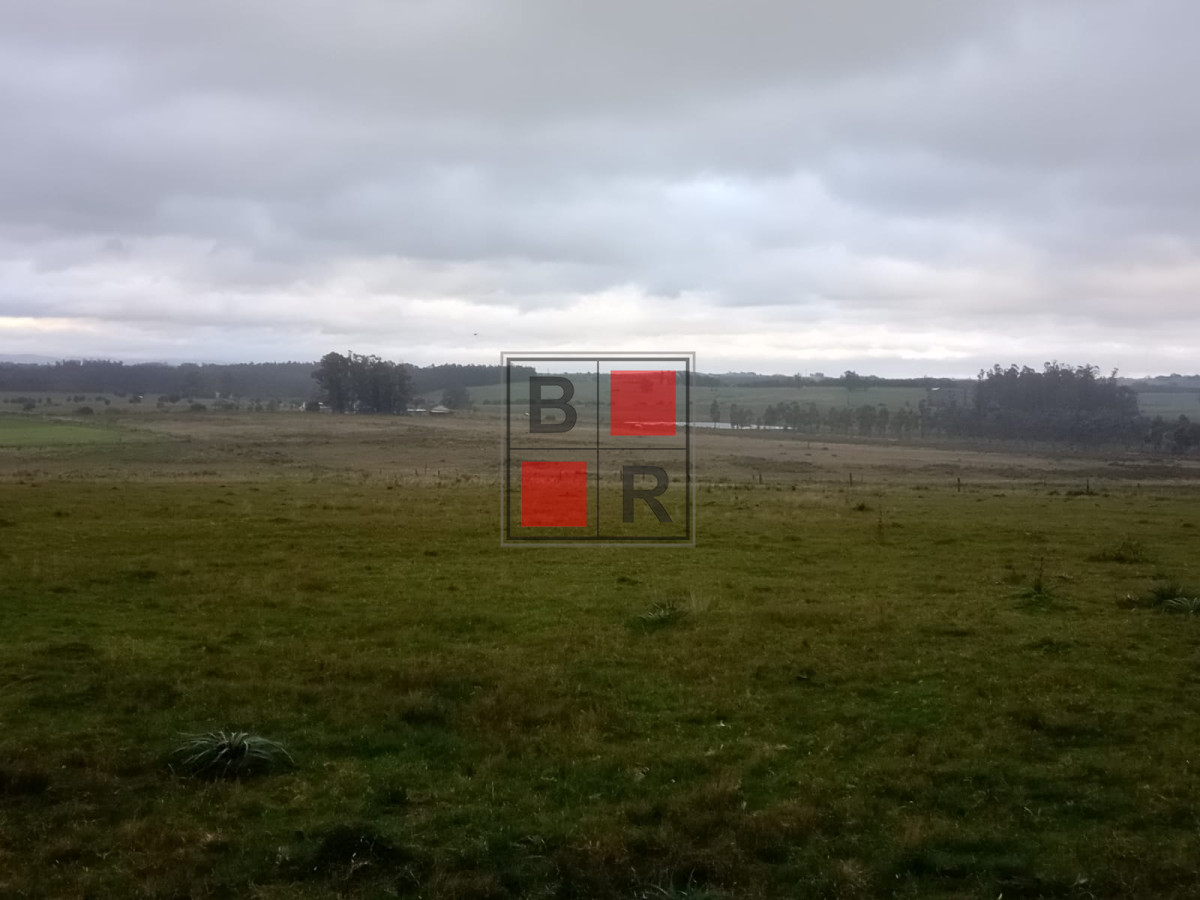 Campo Ref.1109 - OPORTUNIDAD DE VENTA 