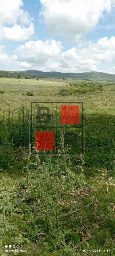 Campo Ref.1147 - Chacra en venta, excelente oportunidad