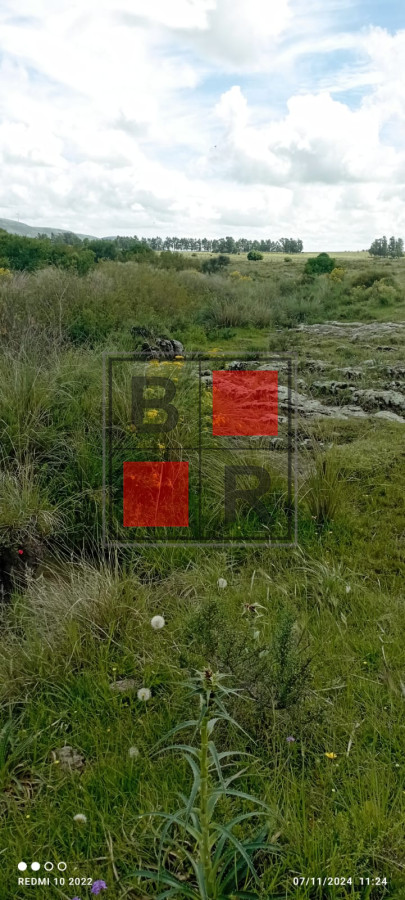 Campo Ref.1147 - Chacra en venta, excelente oportunidad