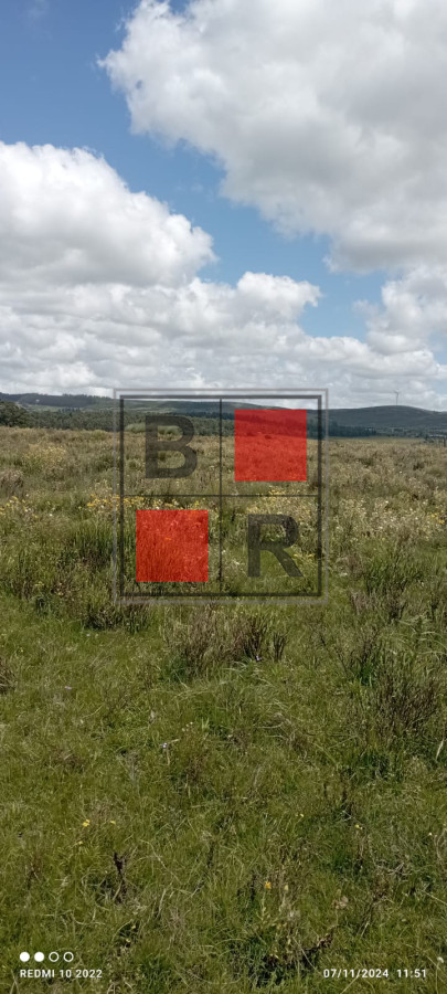 Campo Ref.1147 - Chacra en venta, excelente oportunidad