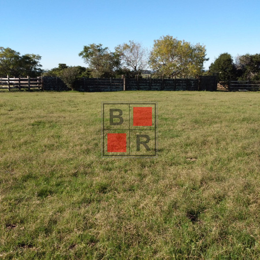 Campo Ref.1104 - Ideal oportunidad para forestación 