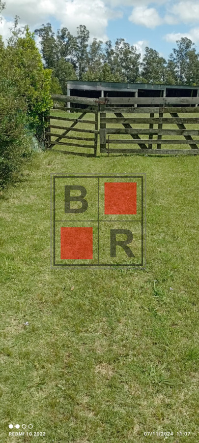 Campo Ref.1147 - Chacra en venta, excelente oportunidad