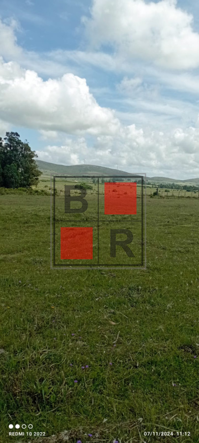 Campo Ref.1147 - Chacra en venta, excelente oportunidad