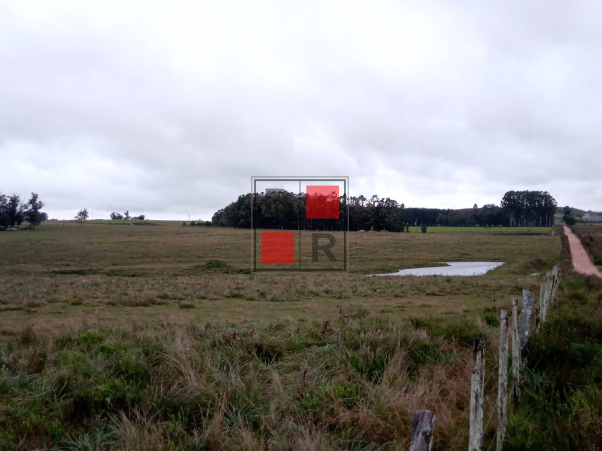 Campo Ref.1109 - OPORTUNIDAD DE VENTA 