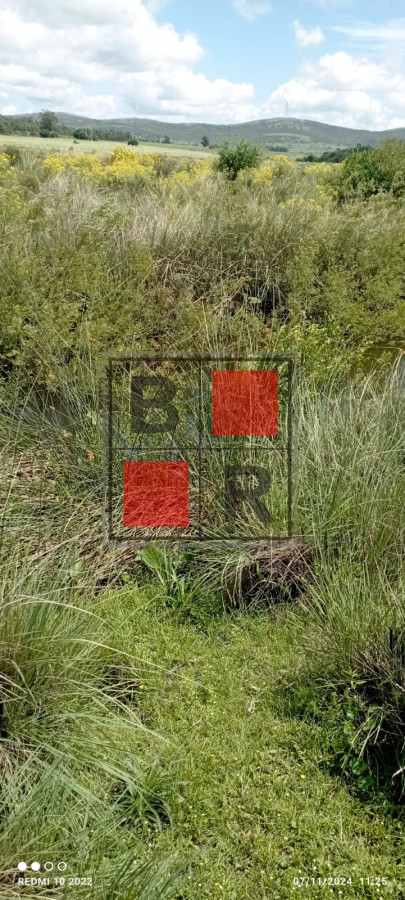 Campo Ref.1147 - Chacra en venta, excelente oportunidad