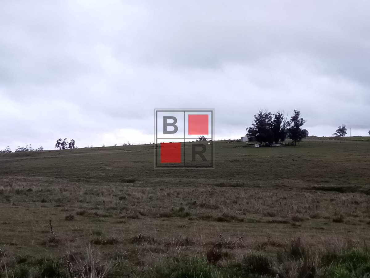 Campo Ref.1109 - OPORTUNIDAD DE VENTA 
