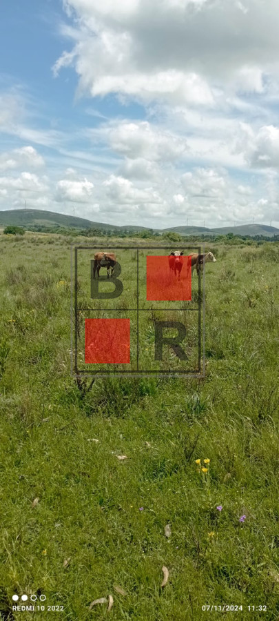 Campo Ref.1147 - Chacra en venta, excelente oportunidad