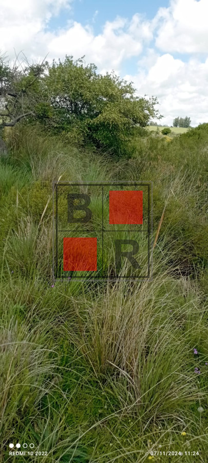 Campo Ref.1147 - Chacra en venta, excelente oportunidad