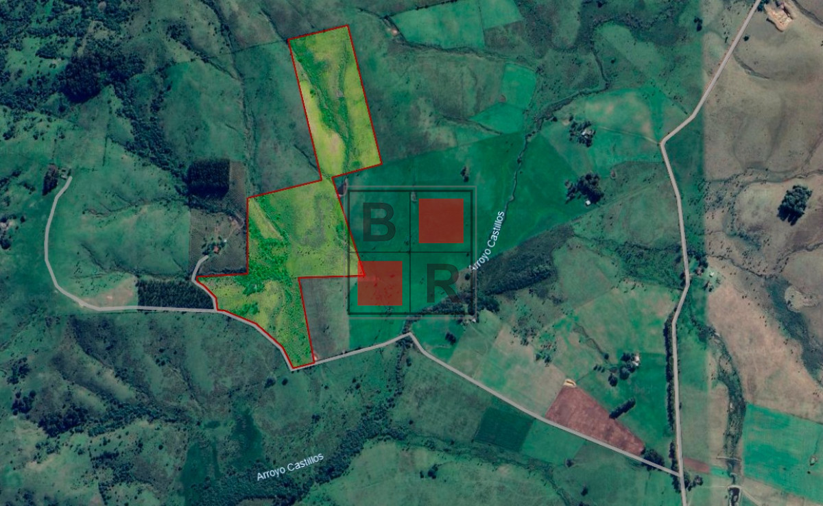 Campo Ref.1105 - Campo ganadero 