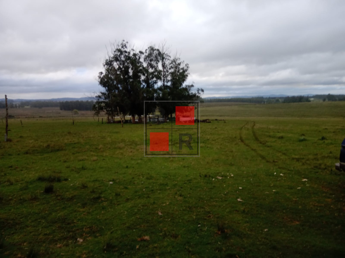 Campo Ref.1109 - OPORTUNIDAD DE VENTA 