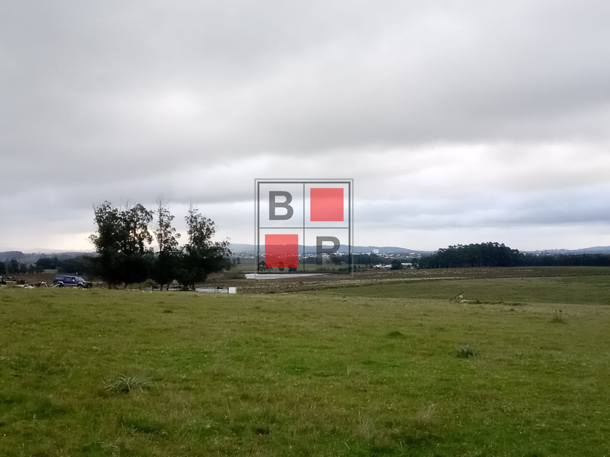 Campo Ref.1109 - OPORTUNIDAD DE VENTA 