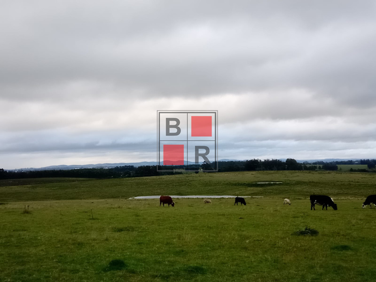 Campo Ref.1109 - OPORTUNIDAD DE VENTA 