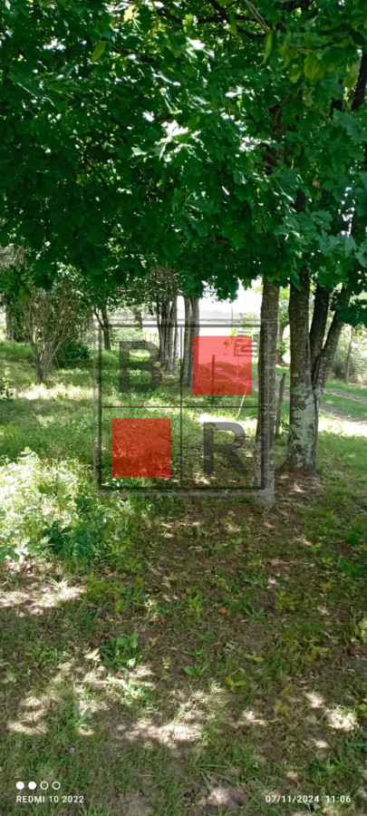 Campo Ref.1147 - Chacra en venta, excelente oportunidad