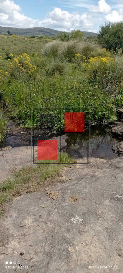 Campo Ref.1147 - Chacra en venta, excelente oportunidad