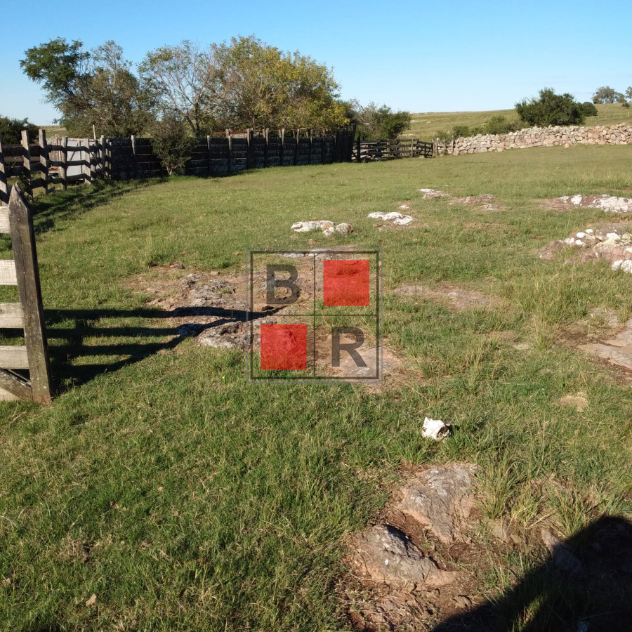 Campo Ref.1104 - Ideal oportunidad para forestación 