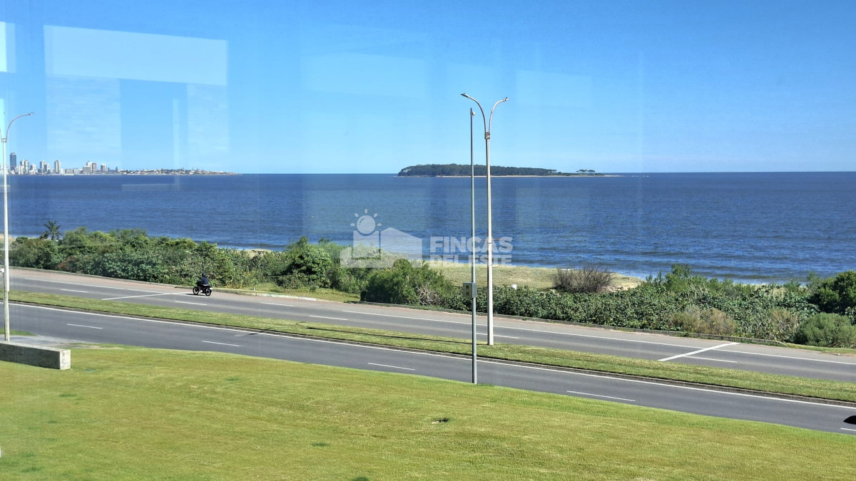 Apartamento ID.2559/Excepcional-plata-en-primera-linea-mansa- - Excepcional plata en primera linea mansa 