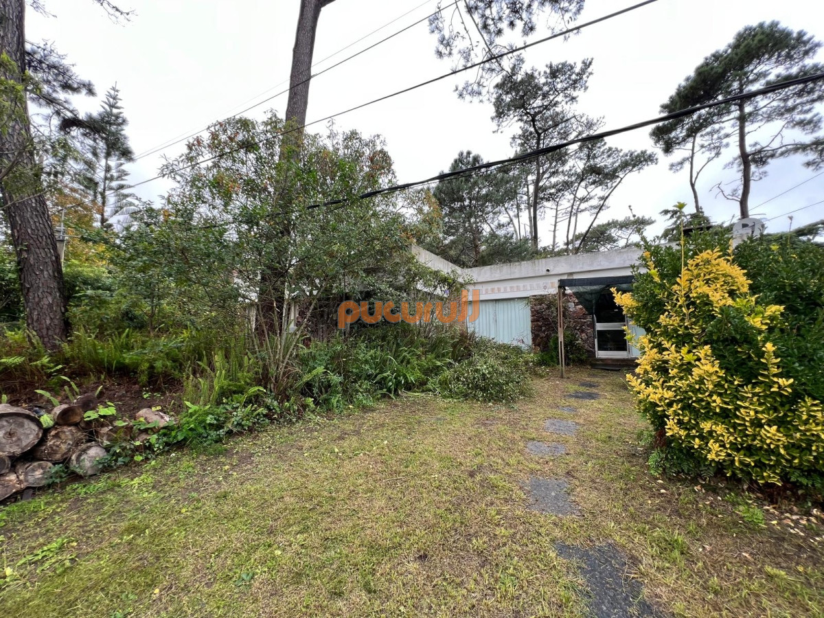 Pinares - GoPunta - Portal Inmobiliario de Punta del Este - Maldonado