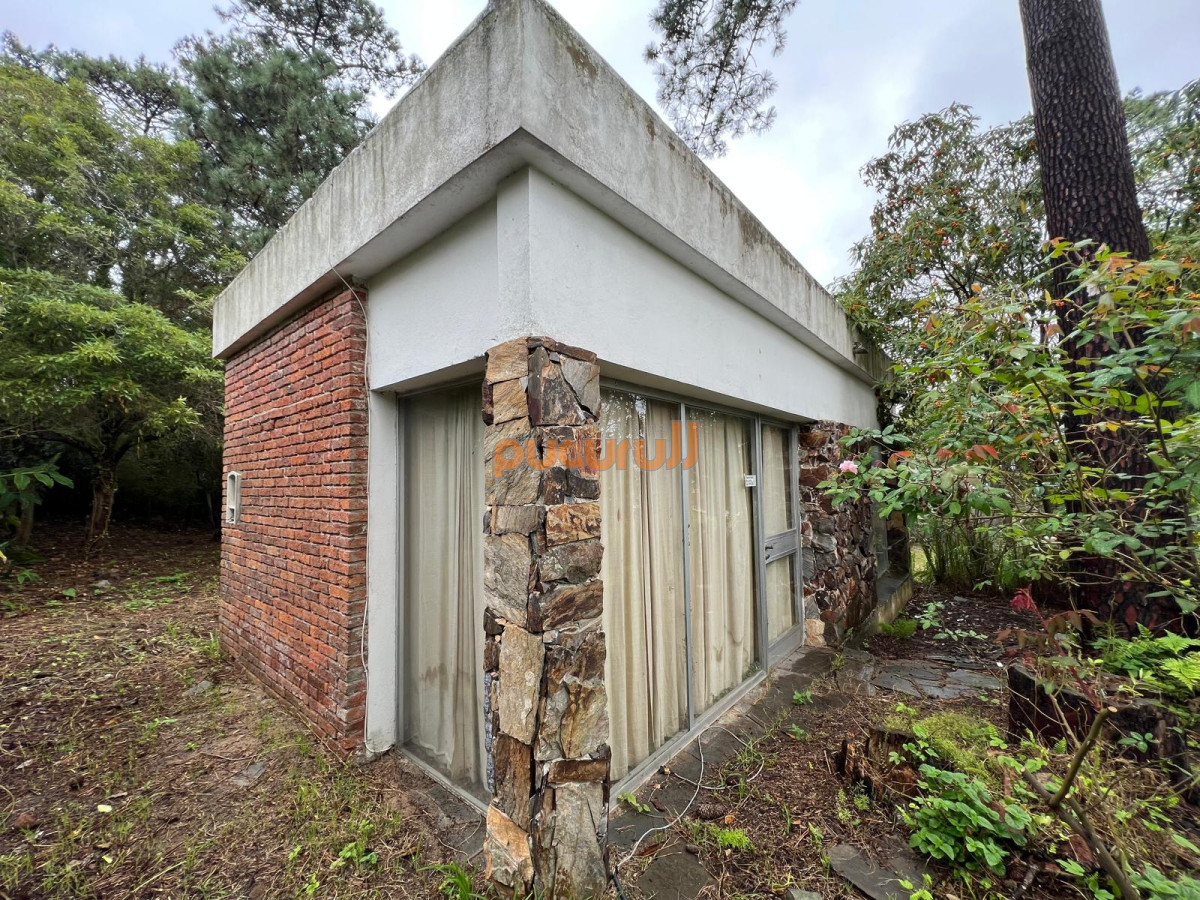 Pinares - GoPunta - Portal Inmobiliario de Punta del Este - Maldonado