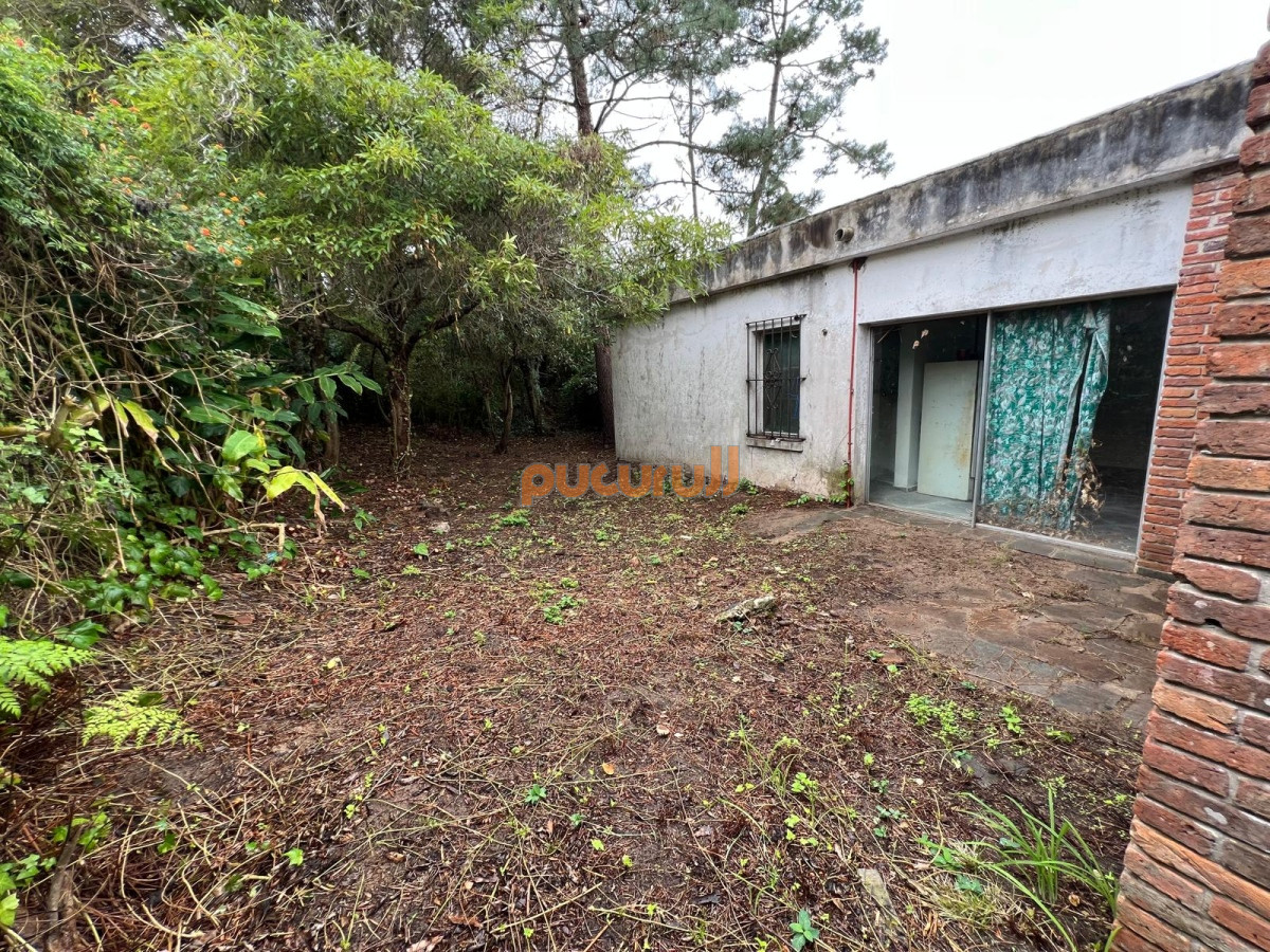 Pinares - GoPunta - Portal Inmobiliario de Punta del Este - Maldonado