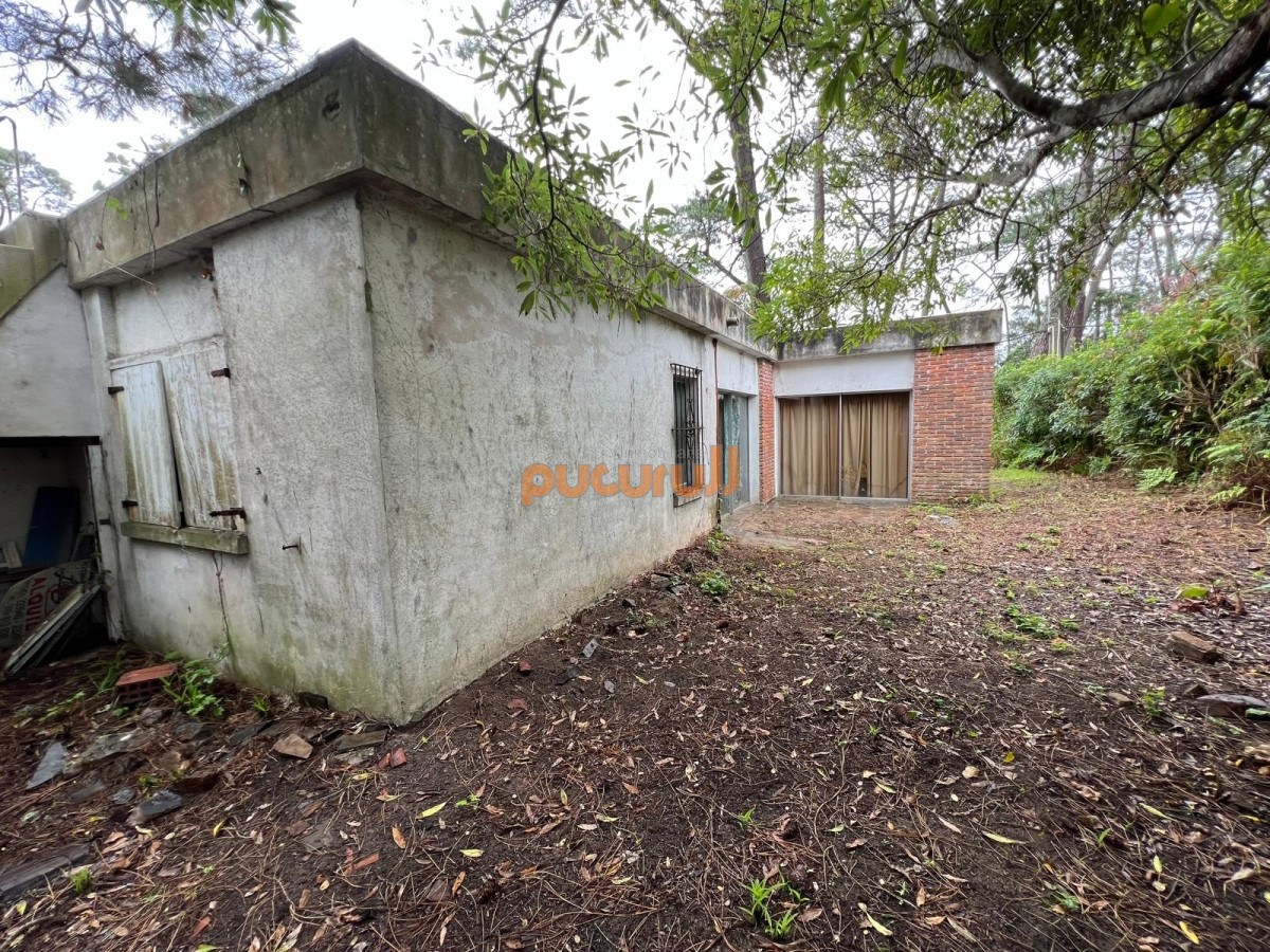 Pinares - GoPunta - Portal Inmobiliario de Punta del Este - Maldonado