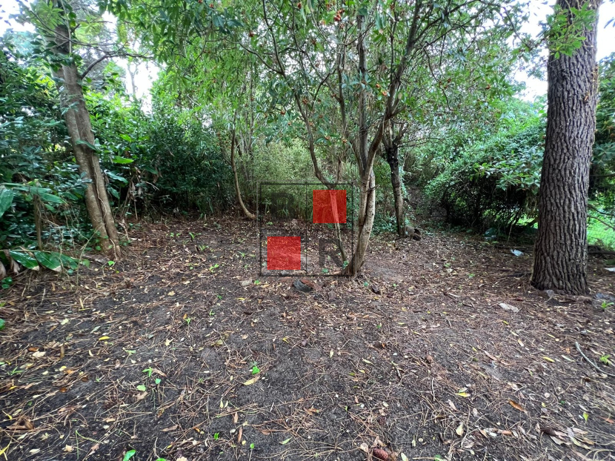Casa ID.1307 - venta en pinares a metros del mar. oportunidad.