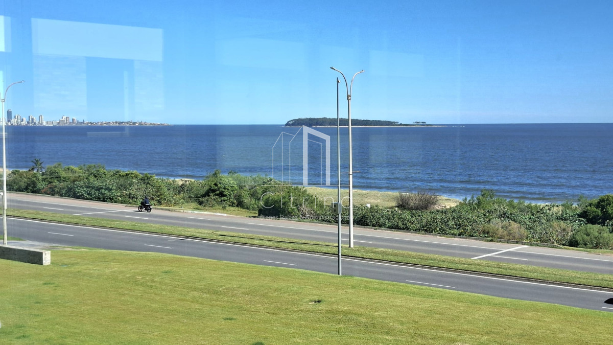 Apartamento ID.2061 - Excepcional plata en primera linea mansa 