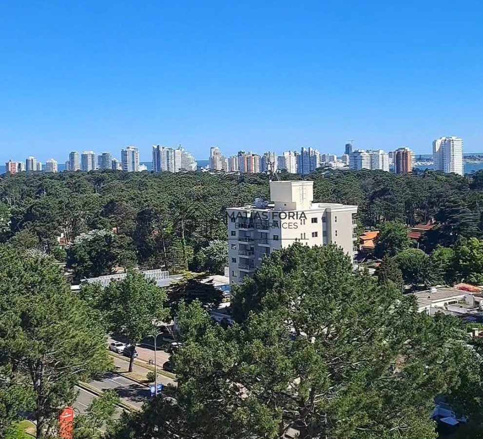 Apartamento ID.43 - Apartamento en Punta del Este, Roosevelt