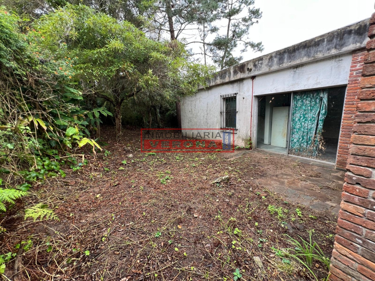 Pinares - GoPunta - Portal Inmobiliario de Punta del Este - Maldonado