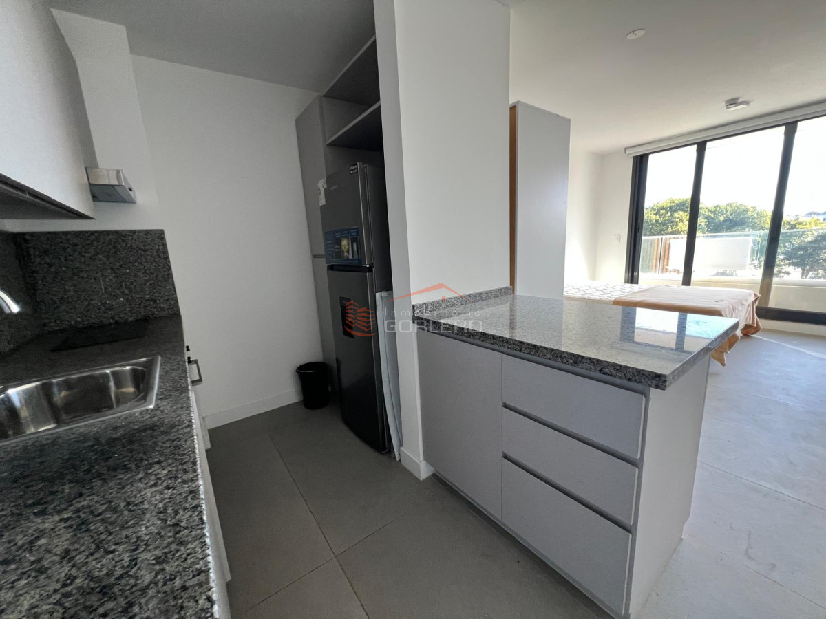 Aidy Grill - GoPunta - Portal Inmobiliario de Punta del Este - Maldonado