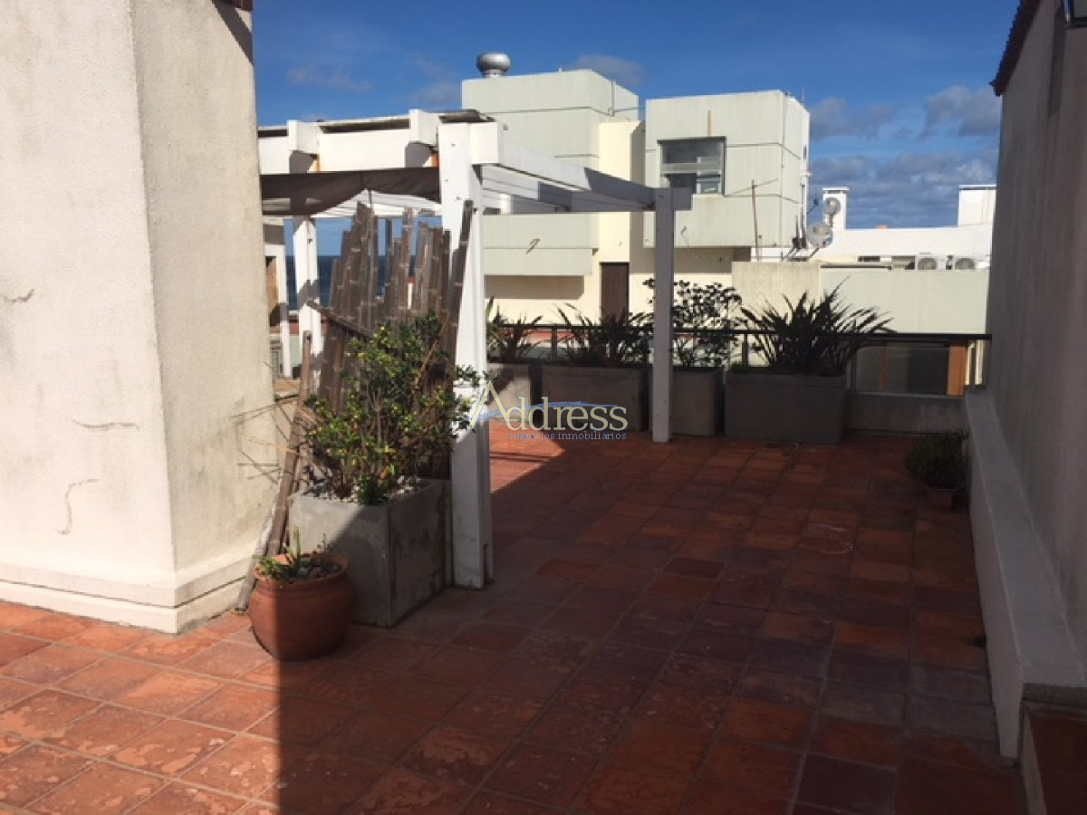 Península - GoPunta - Portal Inmobiliario de Punta del Este - Maldonado