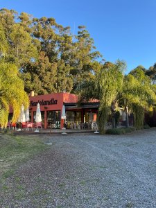 local comercial y terreno sobre ruta IB punta ballena
